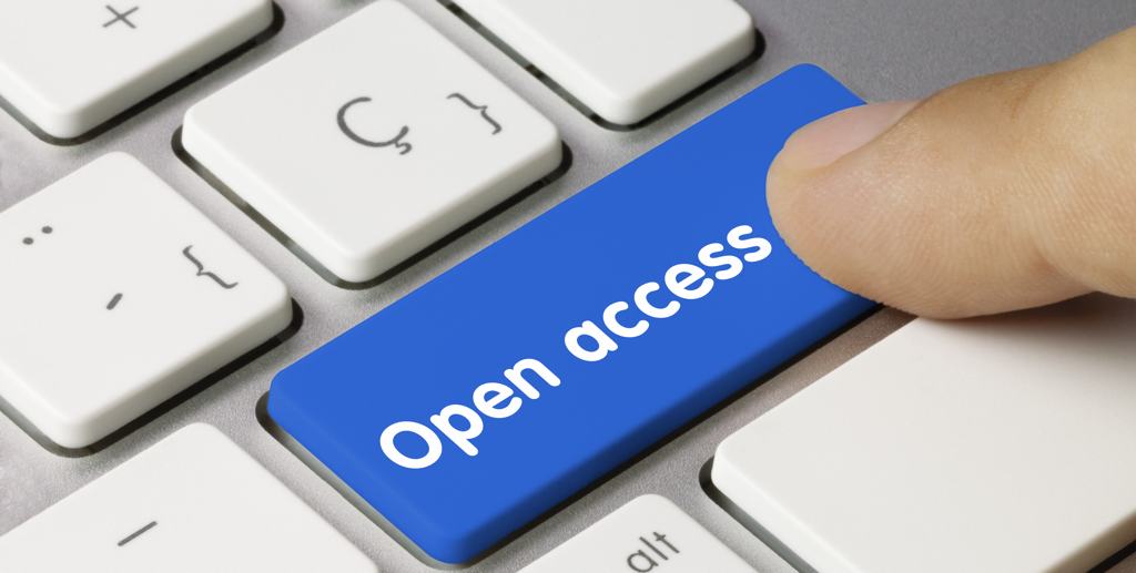Open Access Netze
